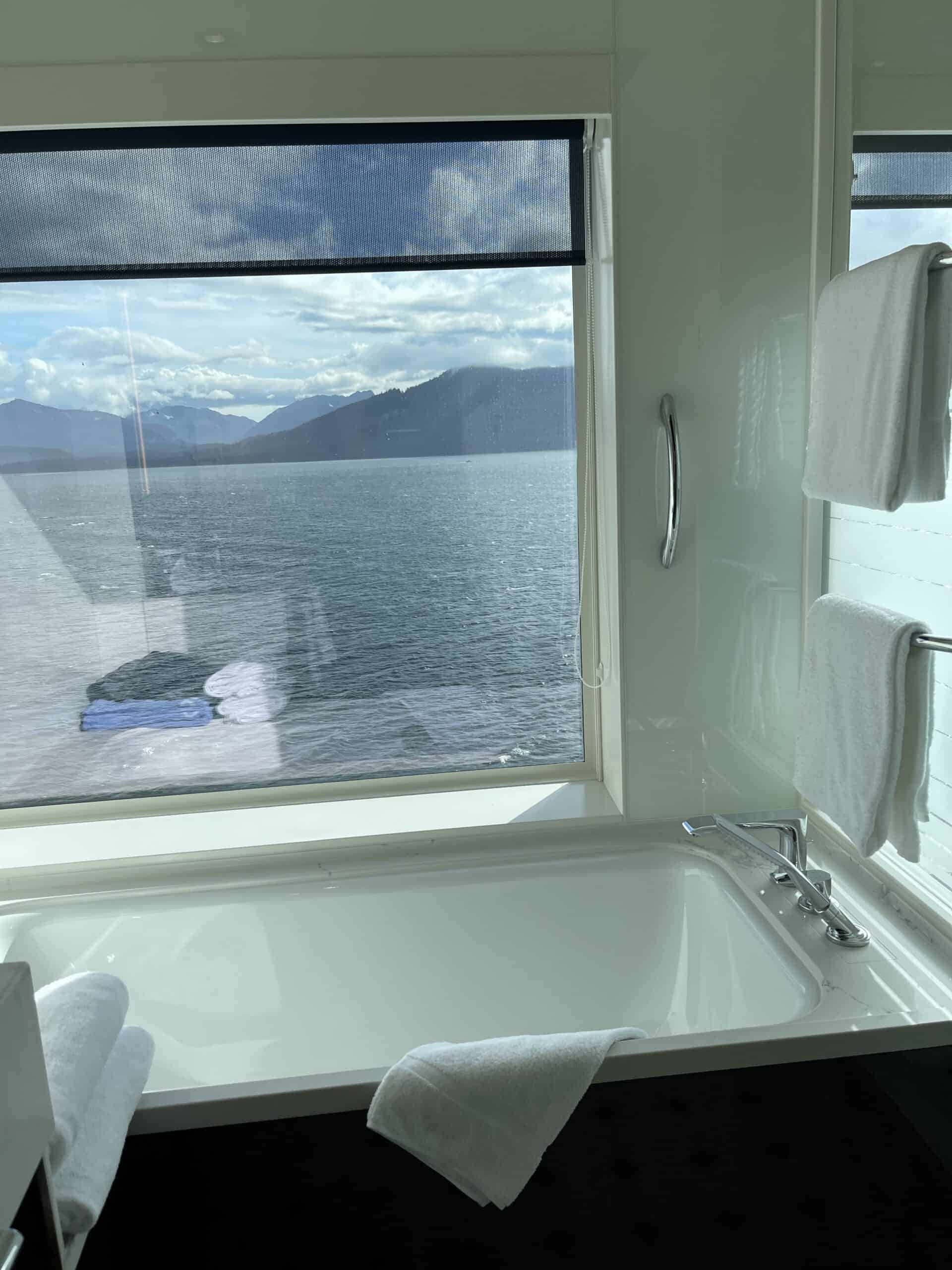 view from cruise bathroom overlooking Glacier Bay in Alaska