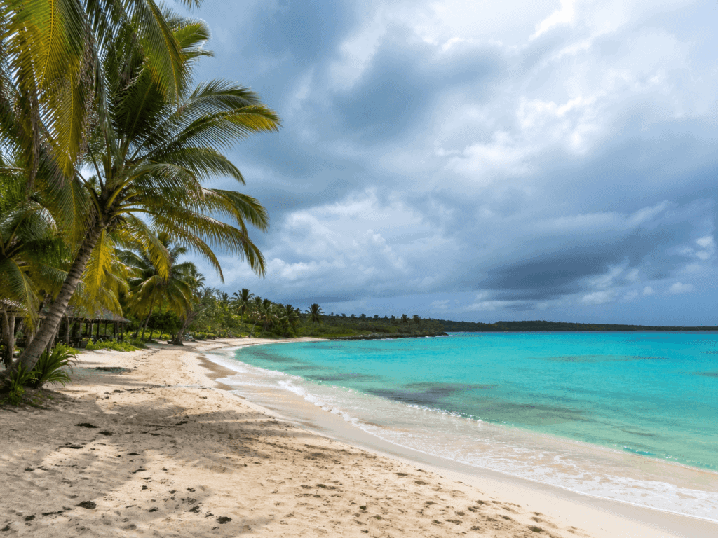 Caribbean beach with palm trees and dramatic sky during hurricane season, showing tropical destination travel conditions.