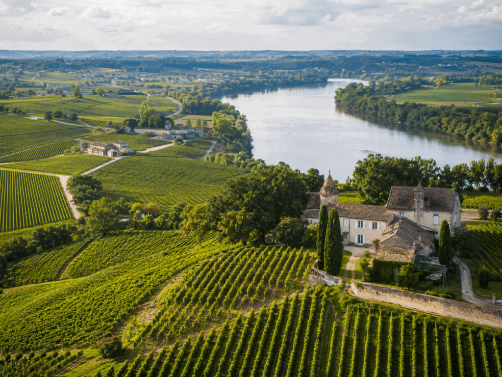 best european river cruise for wine lovers bordeaux douro rhone vineyard landscape