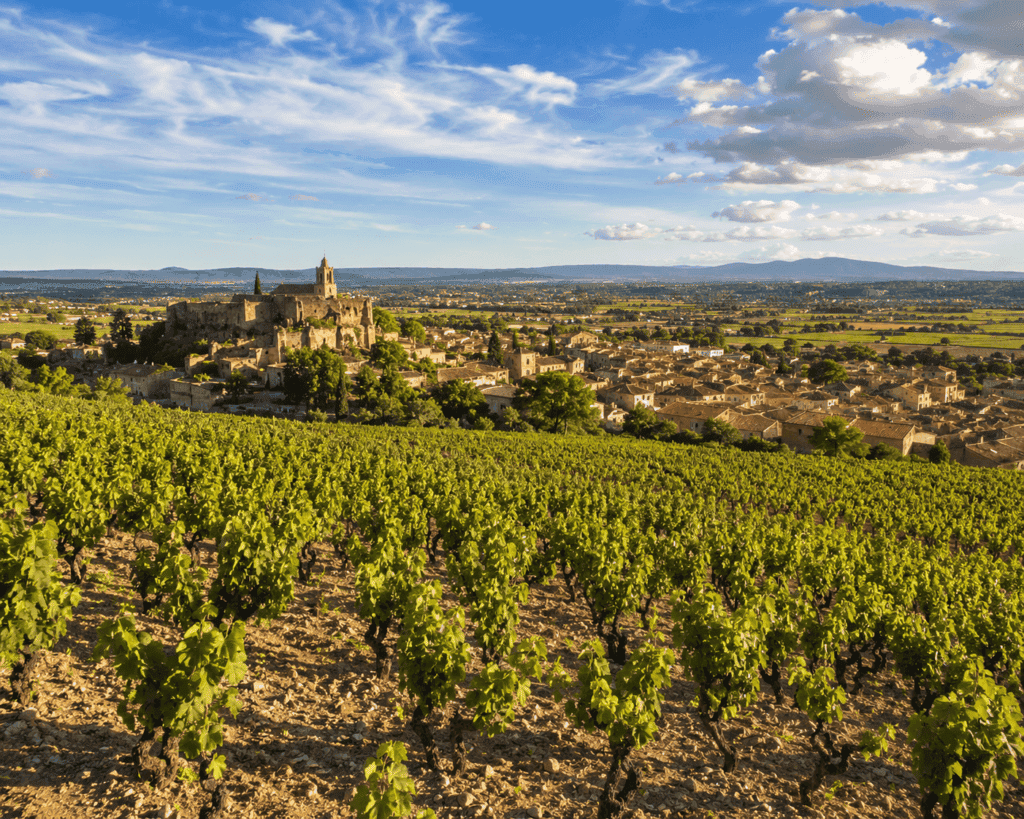 rhone river cruise chateauneuf du pape vineyard southern france wine region